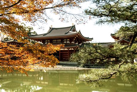 Free Images Tree Fall Flower Pond Reflection Autumn Buddhist