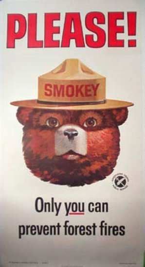 Smokey The Bear Vintage Poster