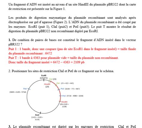 Exercice Aide Pour Comprendre Correction Exercice Sites Restriction