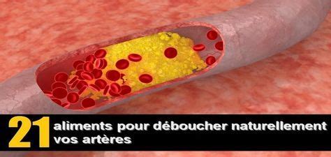 Aliments Qui D Bouchent Naturellement Les Art Res Avec Images