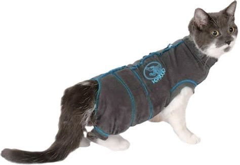 Cat Recovery Suits The 7 Best Suits To Help Your Kitty Heal Post Surgery