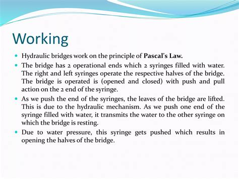 Safety reports explain why the bridge shands needs urgent fixing 9