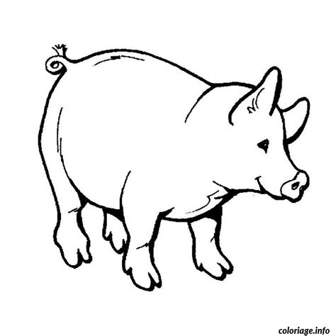 Coloriage Cochon Sauvage Dessin Animaux à imprimer