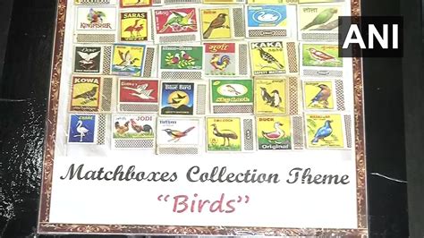 Matchbox collection| Odisha: Class 3 student collects over 5,000 matchboxes from various ...