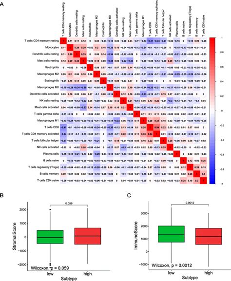 Immune Microenvironment Analysis A Correlation Heat Map Showed The