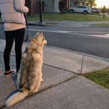 Ruff Walker Bedarra Cres Burpengary East Qld Australia