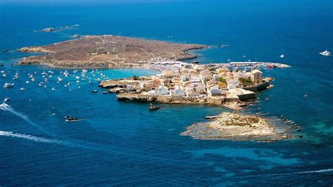 Isla de TABARCA Cómo llegar dónde comer hoteles Excursión