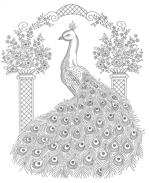 Peacock Coloring Pages To Download And Print For Free