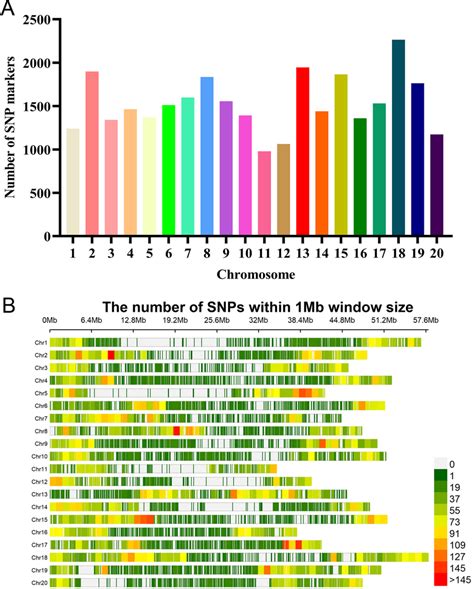 Distribution Analysis Of 30 602 SNPs Across The 350 SGAs A