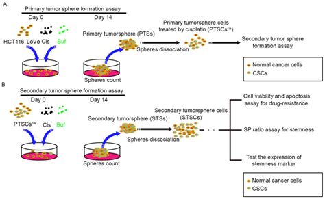 Bufalin Reverses Acquired Drug Resistance By Inhibiting Stemness In