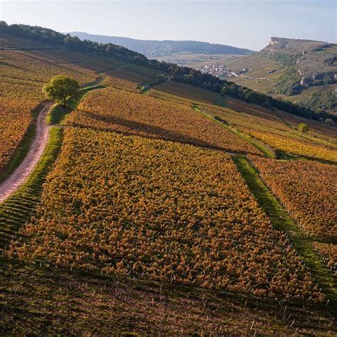 Domaine Du Ch Teau De Pierreclos Grands Vins De Bourgogne