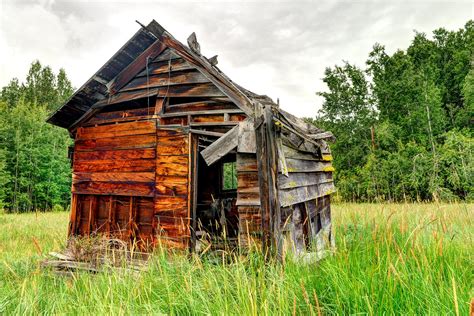 Why Repair Old Shed When You Can Upgrade? - Blog