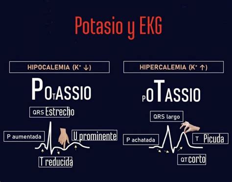 Pin De Daniela Cortes En Med En 2024 Cosas De Enfermeria Medicina De