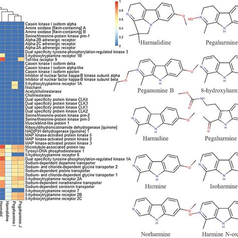 Consensus Molecular Targets Of β Carboline Alkaloids Isolated From