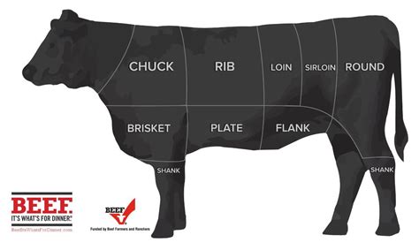 Cow Beef Cut Diagram A Guide To All The Cuts Of Beef