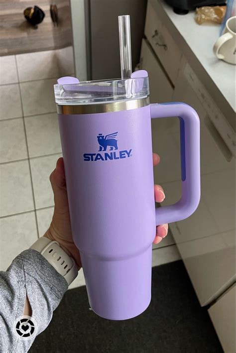 Stunning Purple Stanley Garrafas Starbucks Garrafa De Vidro Para