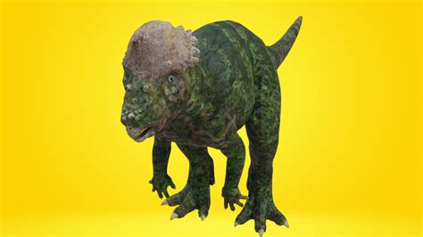 Pachycephalosaurus Model Turbosquid 1986135