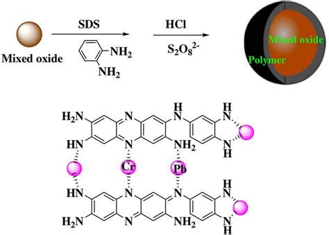 Schematic Illustration Of Mgal Cafe2o4 Poly O Phenylenediamine