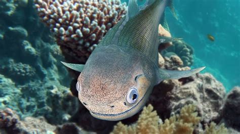 Tiny 400-Million-Year-Old Fossilized Fish Skull Holds A Surprising ...