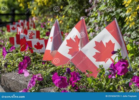 Row Of Canadian Flags In A Garden Stock Image Image Of Green Flower