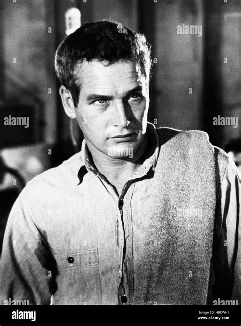 COOL HAND LUKE, Paul Newman, 1967 Stock Photo - Alamy