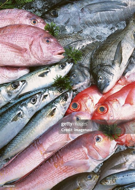 Fishery Products High Res Stock Photo Getty Images