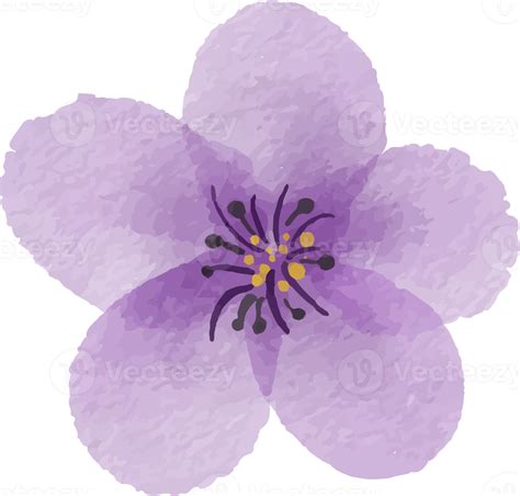 Isolated Watercolor Purple Flower Illustration 21968005 PNG