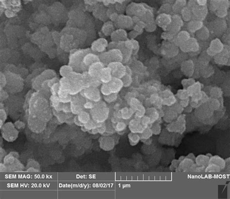 52 Sem Image Of The Nano Titanium Dioxide Prepared Using Titanium Download Scientific Diagram