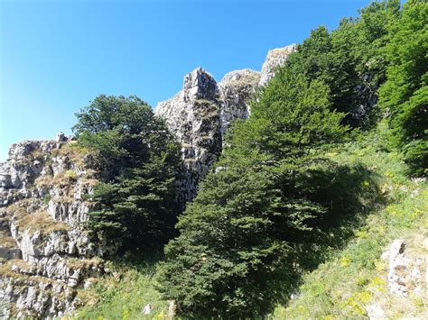 Taburno Trekking Montesarchio Luglio Il Parco Del Monte