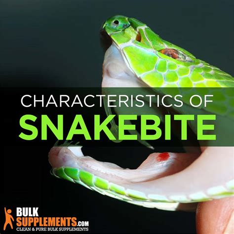 Snakebite: Characteristics, Causes & Treatment