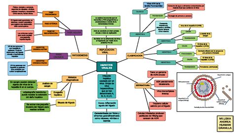 Arriba Imagen Hepatitis Mapa Mental Abzlocal Mx