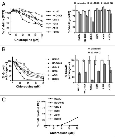 Figure1 RAS Status Does Not Correlate Sensitivity To Autophagy