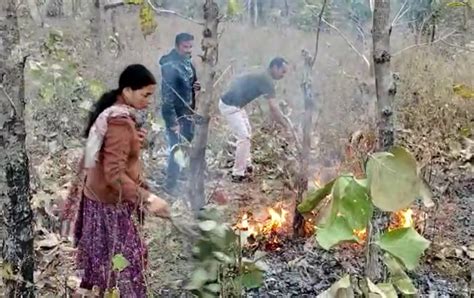 पर्यावरण संरक्षण की खूबसूरत पहलः महिला विधायक ने जंगल में लगी आग खुद