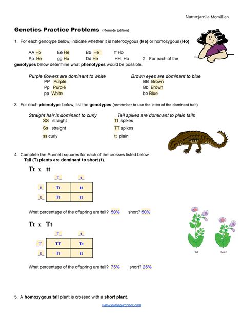 Copy Of Practice Simple Genetics Remote Name Jamila Mcmillian