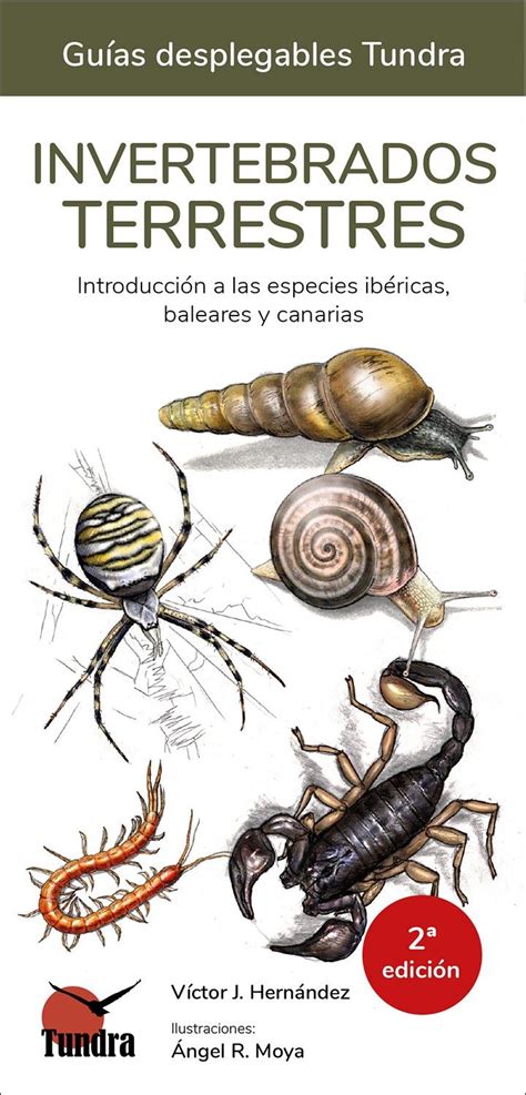 Invertebrados terrestres Introducción a las especies ibéricas