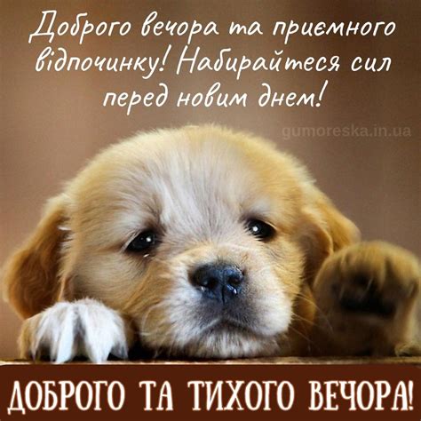 Доброго вечора картинки і листівки гарного вечора (ТОП 50)