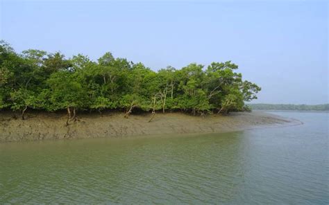 Sunderbans National Park Tourism, Boating, Info & Entry Fee