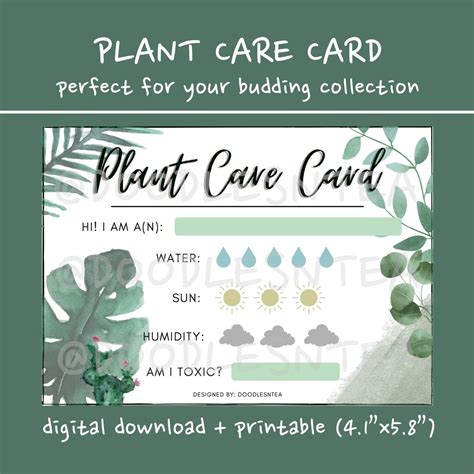 Indoor Houseplants Care Instructions Plant Care Template Etsy
