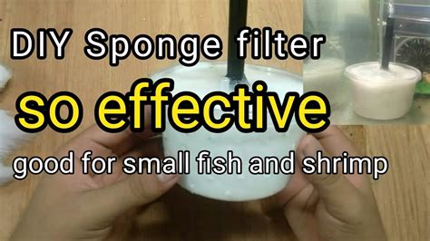 DIY Sponge Filter Easy And Affordable Filter For Aquarium Best For