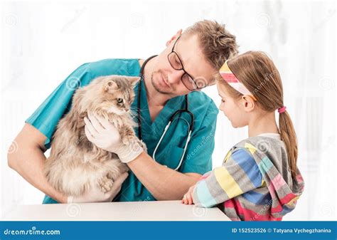 Vet Doctor Checking Cat For Diseases Stock Photo Image Of Kitten