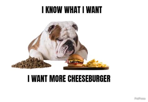 10+ Funny fat dog memes - PetPress