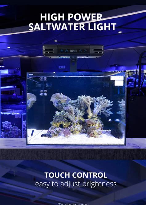 Gako A W Professional Manufacturer Coral Reef Used White Led