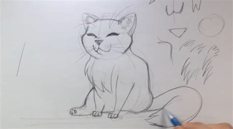 Como Desenhar Um Gato Passo A Passo Tutorial Completo