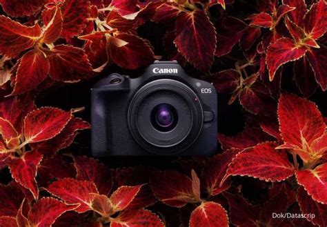 Datascrip Luncurkan Kamera Terjangkau Bagi Pemula Canon Eos R