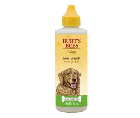 Can You Use Human Dry Eye Drops On Dogs