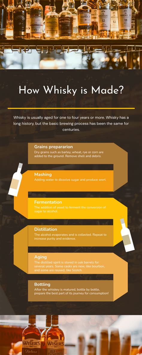 Whiskey Infographic Infografis Template 56 Off