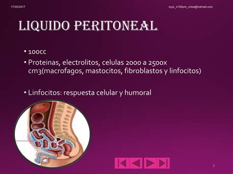 Ppt Peritoneo Y Cavidad Peritoneal Powerpoint Presentation Free