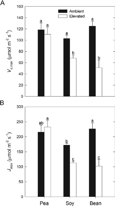 Leaf Level Gas Exchange Parameters Including Estimates Of A Maximum