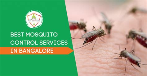 Mosquito Control In Bangalore Mosquito Pest Control Near Me