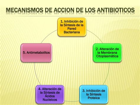 Antimicrobianos Mecanismo De A O Braincp